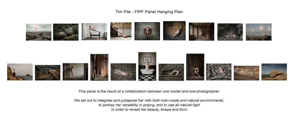 fipf-hanging-plan