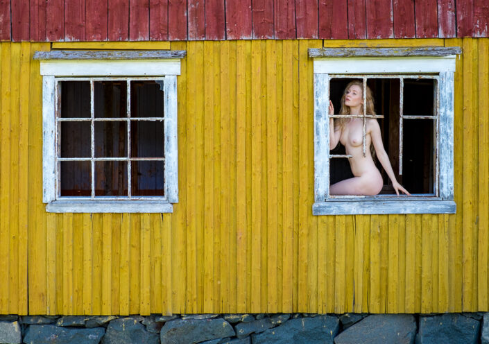 Window on my World